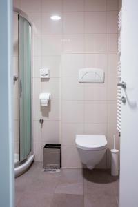 a white bathroom with a toilet and a shower at Apartma Mic *** in Kranjska Gora