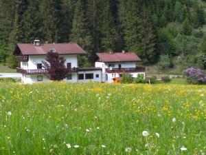 Paesaggio naturale nelle vicinanze dell'affittacamere