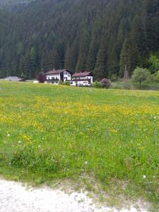 Paesaggio naturale nelle vicinanze dell'affittacamere