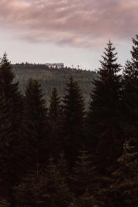 una casa en la cima de una colina con árboles en Ski&Sun Apartamenty, en Świeradów-Zdrój