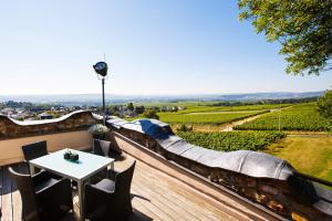 eine Terrasse mit einem Tisch und Stühlen und Blick auf einen Weinberg in der Unterkunft Burg & Gästehaus by Schwarzenstein in Geisenheim