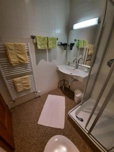 ein Bad mit einer Dusche, einem WC und einem Waschbecken in der Unterkunft Gästehaus Burgi in Fügen