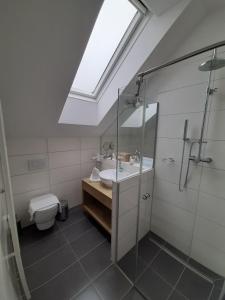 ein Bad mit einem Waschbecken, einer Dusche und einem WC in der Unterkunft Pension Ballwein in Salzburg