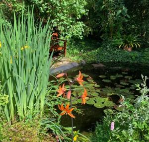 a pond with flowers and a bench in a garden at Ferienwohnung am Krippenhof in Baden-Baden