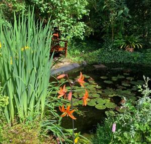 einen Teich mit Blumen und einer Bank im Garten in der Unterkunft Ferienwohnung am Krippenhof in Baden-Baden