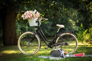 ein Fahrrad mit einem Korb Blumen auf dem Gras in der Unterkunft Hotel Golfi in Poděbrady