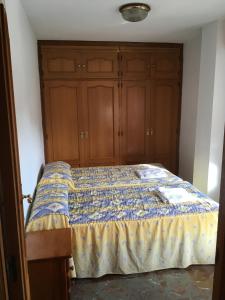 1 dormitorio con 1 cama con armarios de madera en Edificio Mirasierra, en Oropesa del Mar