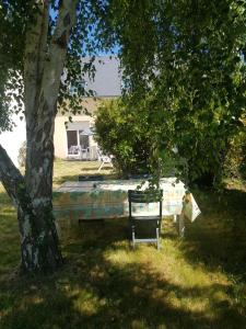 un banc assis sous un arbre dans une cour dans l'établissement Maison de vacances - Baie du Mont Saint Michel, à Saint-Jean-le-Thomas