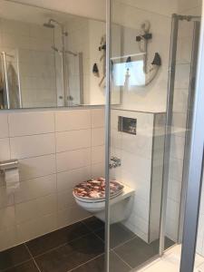 a bathroom with a toilet and a glass shower at Haus Bachwiesen in Grömitz