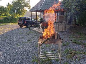 un pezzo di legno in fiamme davanti a una casa di Mtirala House a Khala