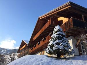 a snow covered christmas tree in front of a building at Chalet M in Grindelwald