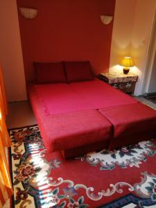 a red bed in a room with a red rug at Apartman Đorđević in Soko Banja