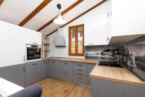Kuchyň nebo kuchyňský kout v ubytování Vacation house Orange