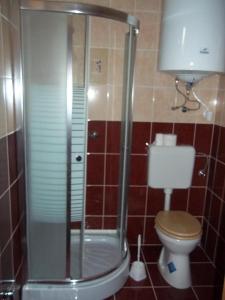 uma casa de banho com um WC e uma cabina de duche em vidro. em Szikla Vendégház em Istenmezeje