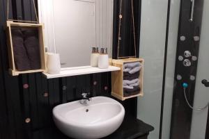 a bathroom with a white sink and a shower at L'appart in La Chapelle-de-Brain