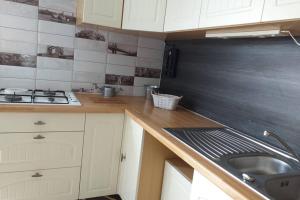 a kitchen with a sink and a counter top at L'appart in La Chapelle-de-Brain