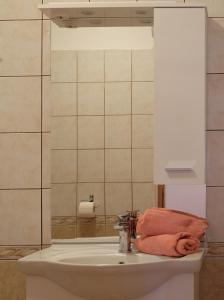 Koupelna v ubytování Apartman Precca + 37 fotografií