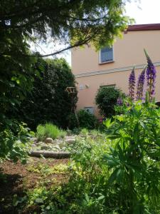 Photo de la galerie de l'établissement MV Apartamenty Komfort, à Augustów