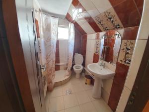 Koupelna v ubytování Cabana Popasul Vânătorului + 31 fotografií
