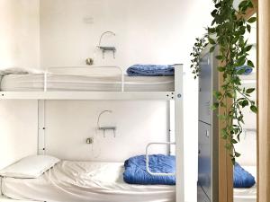 Zimmer mit Etagenbetten und Waschbecken in der Unterkunft Grand Hostel Manin in La Spezia
