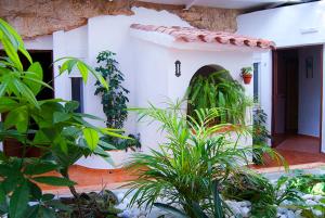 una casa bianca con delle piante davanti di Hostal Batato a Vejer de la Frontera