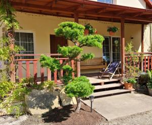 a porch of a house with a chair and a tree at Apartament Malinowa Dolina in Kłodzko