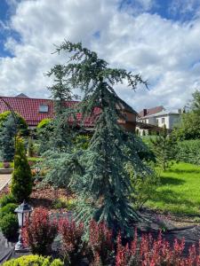 a pine tree in a garden with flowers at Guesthouse Saksonia in Goryachiy Klyuch