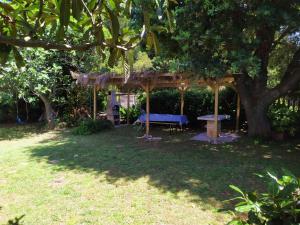 una mesa de picnic bajo un árbol en un patio en Apartment Pletikos, en Premantura