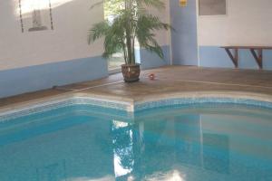 eine Palme neben einem Pool in der Unterkunft Swift Cottage in Broadhempston