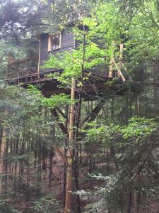 シャテル・ギヨンにあるcabane de l'Ecureuilの森の中の木の家