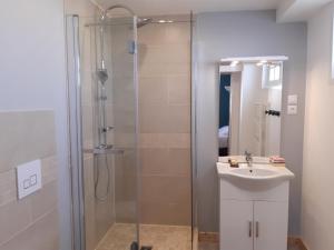 a bathroom with a shower and a sink at La maison bleue in Corpeau
