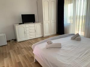 Postel nebo postele na pokoji v ubytování Vila Ann