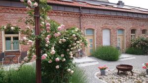 a bush with pink roses in front of a brick building at Maison am Liesingbach in Vienna