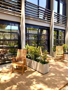 2 sillas de madera sentadas en un patio con plantas en Royal Tennis Club, en Marbella