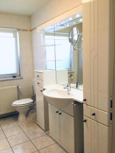 a bathroom with a sink and a toilet and a mirror at Ferienhaus Zerrer in Zarrendorf