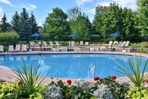 - une piscine avec des chaises longues et des parasols dans l'établissement Beautiful & Bright 3 Bed Townhome Near Village, à Blue Mountains