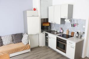 Kuchyň nebo kuchyňský kout v ubytování Apartmány Agáta Abertamy