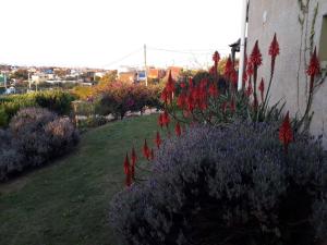 un jardín con flores rojas y flores púrpuras junto a un edificio en Cabañas Bien al Este en Punta del Diablo