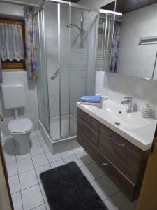 a bathroom with a shower and a sink and a toilet at Ferienwohnung Embacher in Söll