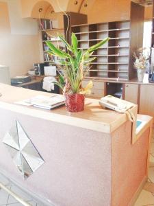 a potted plant sitting on a counter in an office at Motel Neno in Bijeljina