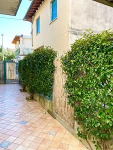 une clôture avec des plantes vertes à côté d'un trottoir dans l'établissement Peace Nest Forte dei Marmi, à Forte dei Marmi