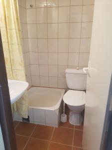 a small bathroom with a toilet and a sink at Horský Hotel Vršky in Závadka nad Hronom