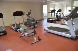 Fitness centrum a/nebo fitness zařízení v ubytování Hotel Mirabel