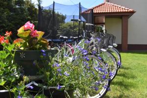 un gruppo di biciclette parcheggiate accanto a dei fiori di Willa Bea a Danzica