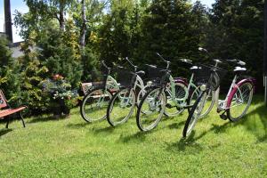 een groep fietsen geparkeerd in het gras bij Willa Bea in Gdańsk