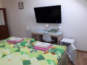 TV a/nebo společenská místnost v ubytování Penzion Na Hrazi