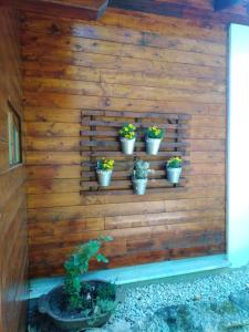 Gallery image of Napfény Camping in Taliándörögd +81 photos