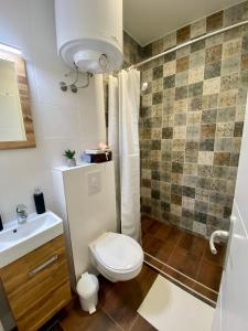 een badkamer met een toilet, een wastafel en een douche bij Apartments Flanaticus in Pula