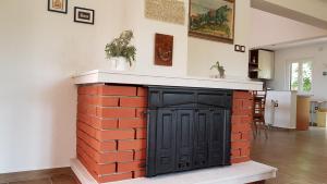 Zdjęcie z galerii obiektu Apartments Villa Temer w mieście Pinezići