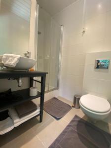 a bathroom with a toilet and a sink and a shower at Studio & Appartement au Lac in Sart-lez-Spa +25 photos